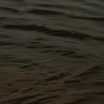 Smooth waves pattern on dark background